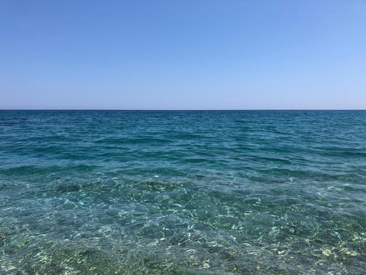 فيلا Casa Ceragioli فياريجيو المظهر الخارجي الصورة